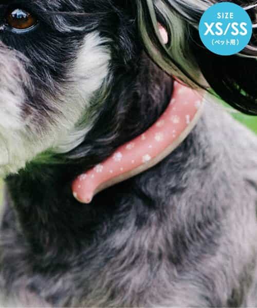 ★SALE★【累計販売本数136万本突破】ICE RING（ペット）