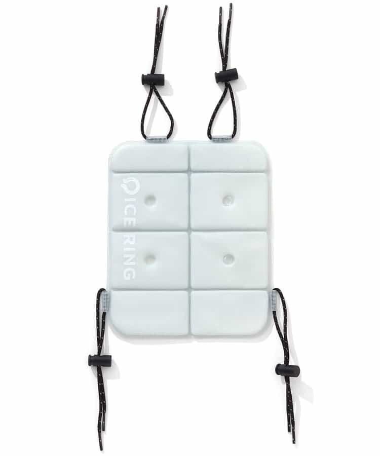 ★SALE★ICE CARRY(S)