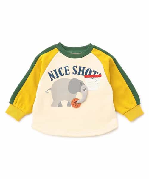 【知育】ゾウとゴリラのスポーツプリントトレーナー