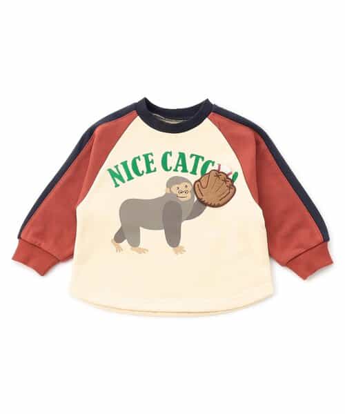 【知育】ゾウとゴリラのスポーツプリントトレーナー