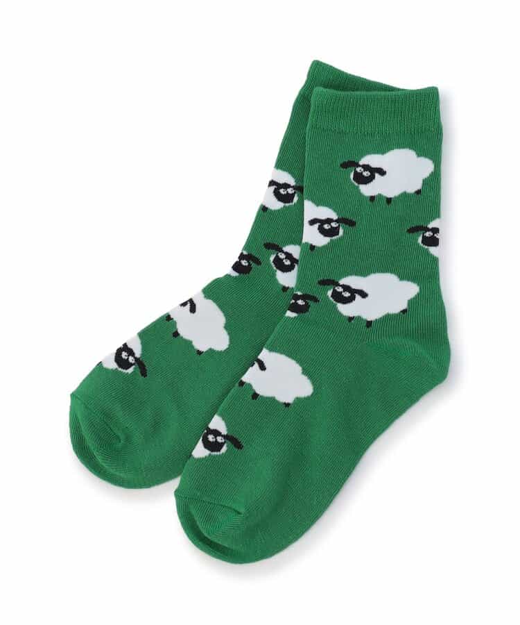 BOYSいろいろソックス