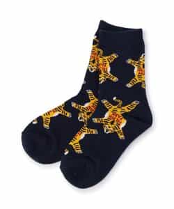 3P対象A BOYSいろいろソックス