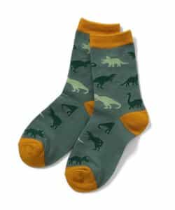 3P対象A BOYSバラエティーソックス