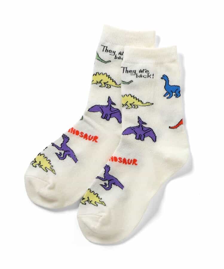 BOYSバラエティーソックス