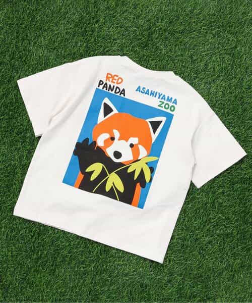 【リンク】【旭山動物園応援商品】バリエーションTシャツ