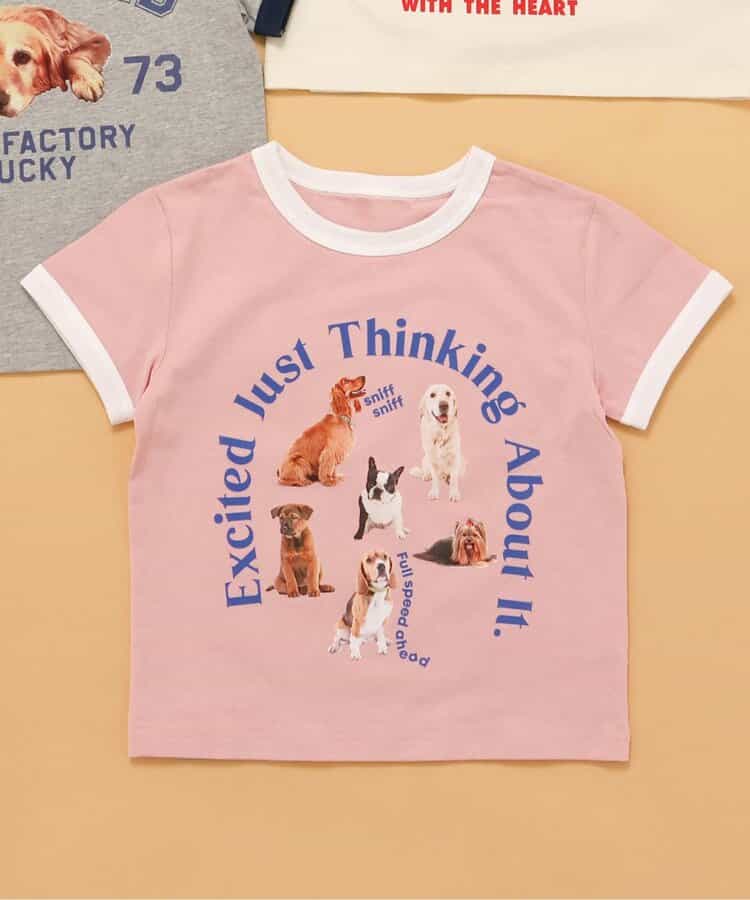 ★SALE★【リンク】wonderful　リンガーDOGカレッジTシャツ