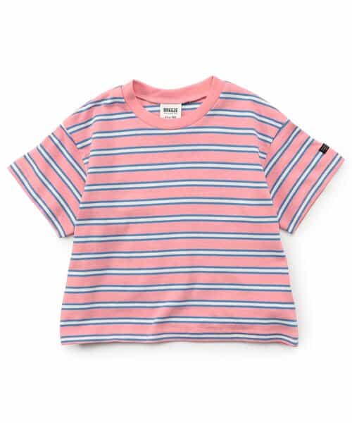 WEB限定  ボーダー＆無地ベーシックTシャツ