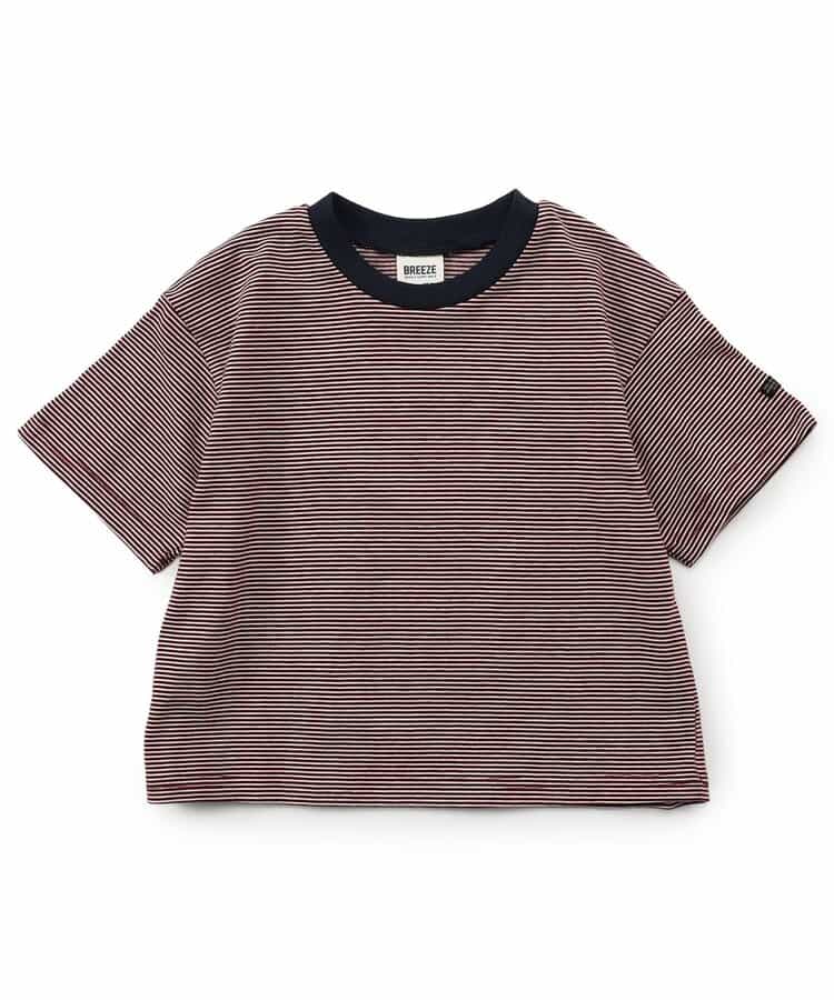 WEB限定  ボーダー＆無地ベーシックTシャツ