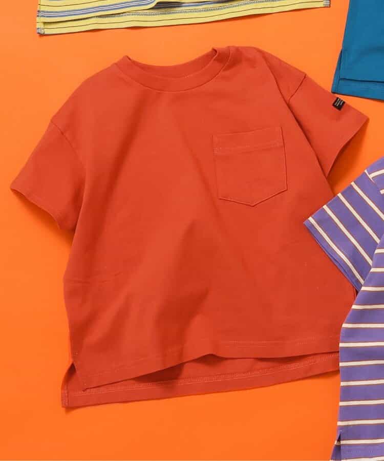 ★SALE★WEB限定 無地ボーダーTシャツ