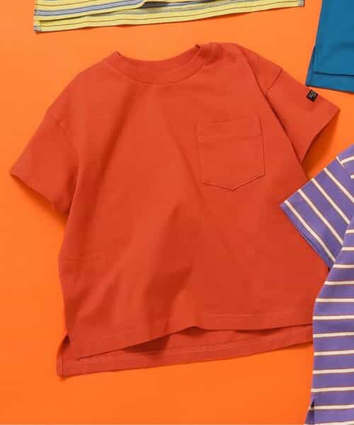 ★SALE★WEB限定 無地ボーダーTシャツ