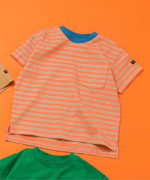 ★SALE★WEB限定 無地ボーダーTシャツ