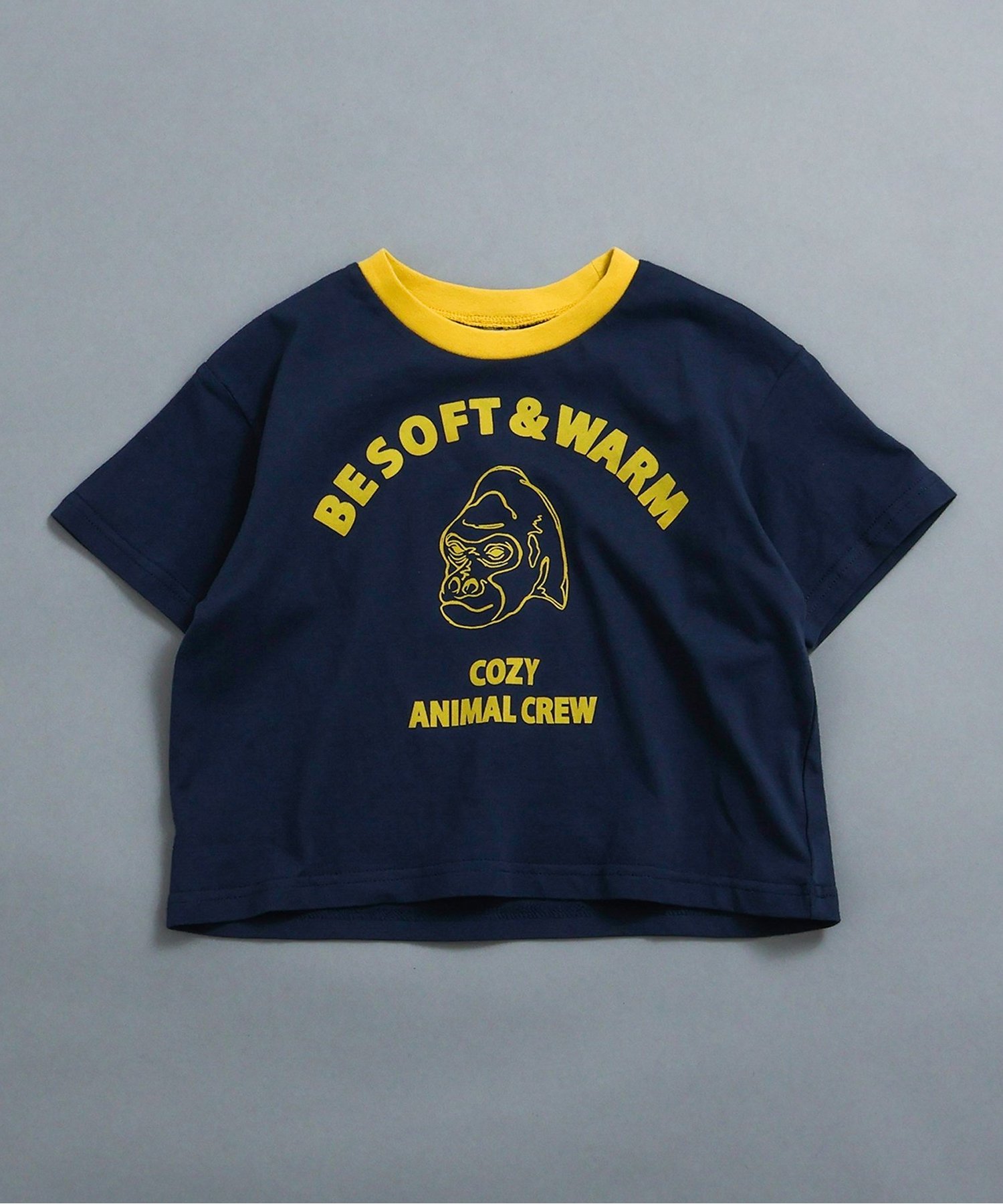 WEB限定 チューブトップチュールTシャツ（J207816）|BREEZE（ブリーズ