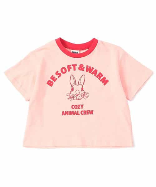 WEB限定  リンガー配色アニマルカレッジTシャツ