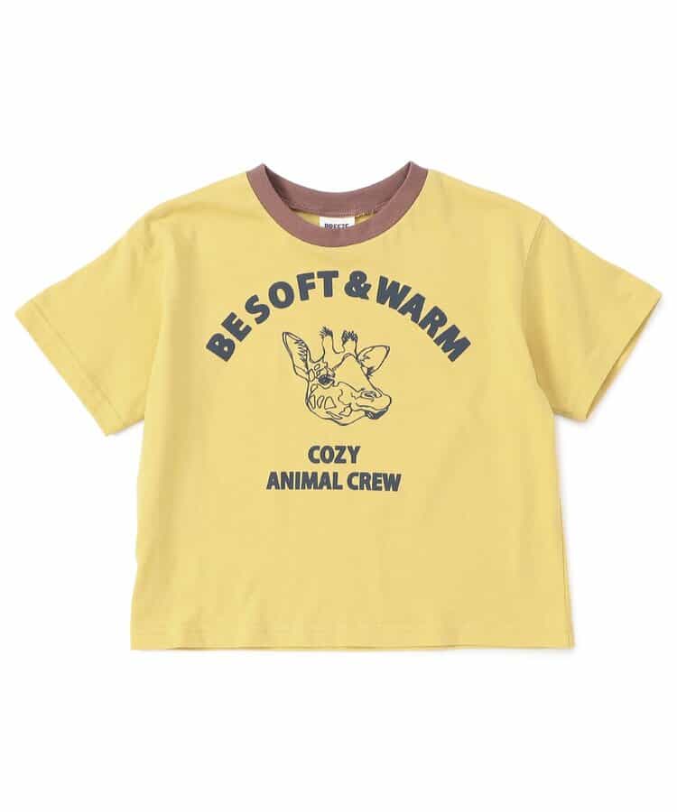 WEB限定  リンガー配色アニマルカレッジTシャツ