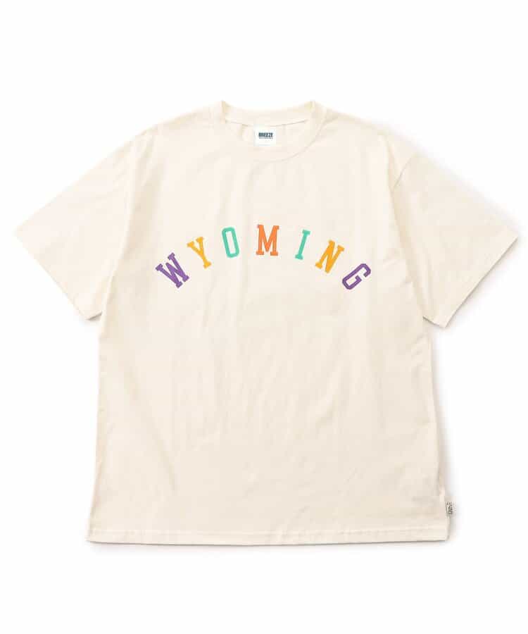 ★SALE★WEB限定 【リンク】ロゴアップリケTシャツ（オトナ）