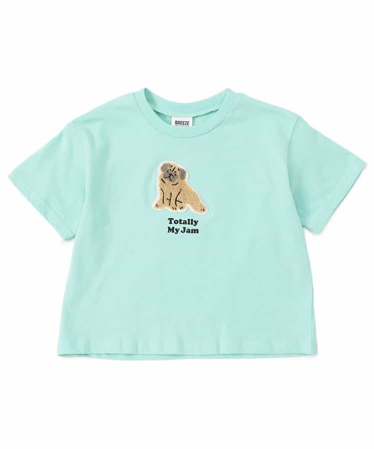 WEB限定  ワンポイントサガラワッペンTシャツ