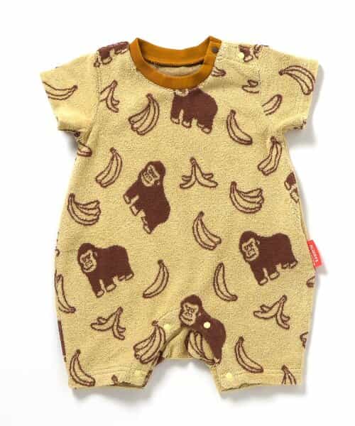 【リンク】パイルジャガードロンパス