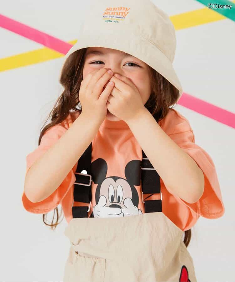 ☆SALE☆【リンク】ディズニーキャラクター/ワンピース（J317055