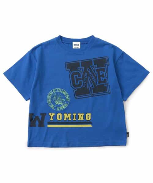 ★SALE★WEB限定 5色5柄カレッジTシャツ