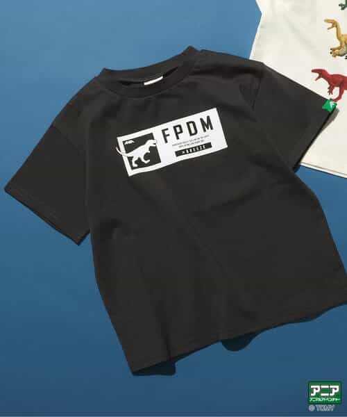 ★SALE★福井県立恐竜博物館×アニアコラボ 恐竜Tシャツ(子ども)