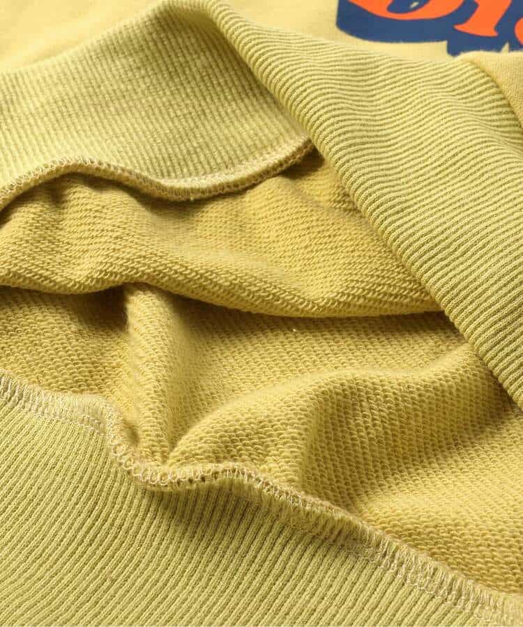 WEB限定【Dickies】ロゴトレーナー_996453