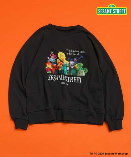 【リンク】SESAME STREET フォトアートトレーナー（大人）
