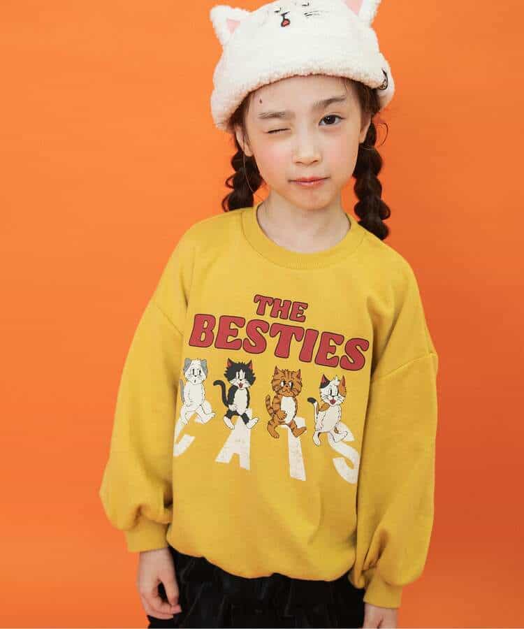 【リンク】BREEZY CATS にゃんシーントレーナー