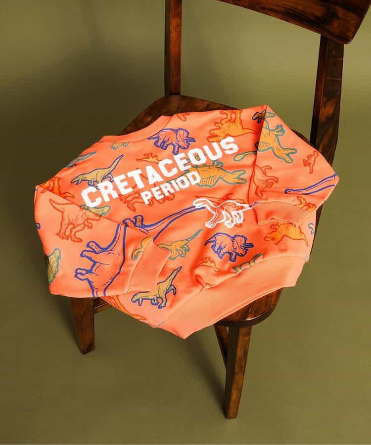 福井県立恐竜博物館コラボ カラフルDino総柄トレーナー