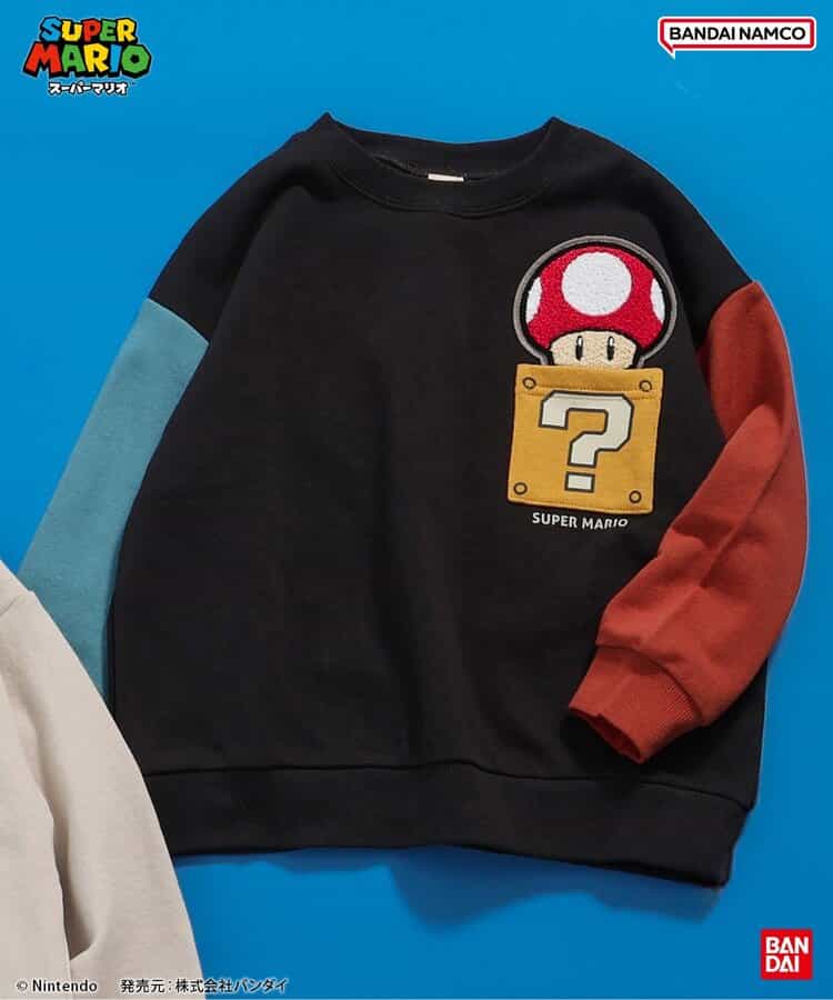 スーパーマリオ ポケットトレーナー