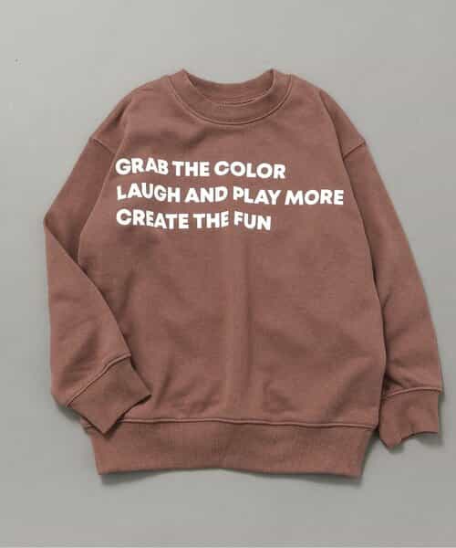 WEB限定  イロイロロゴトレーナー