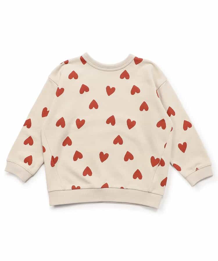 【どっちも正解】DAISUKI 総柄トレーナー