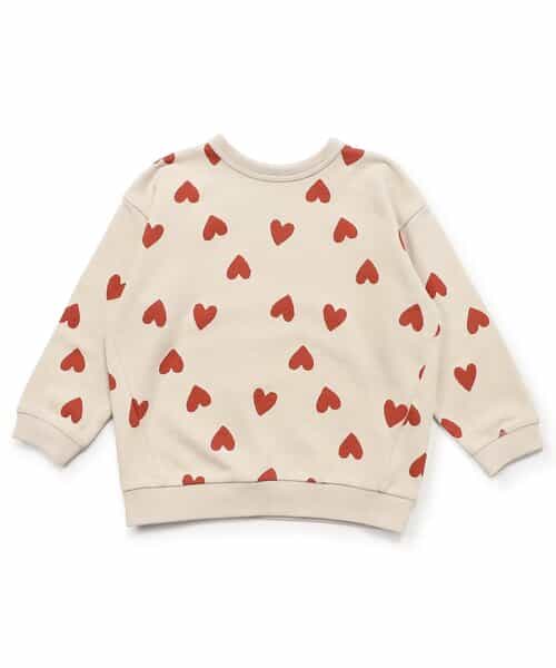 【どっちも正解】DAISUKI 総柄トレーナー