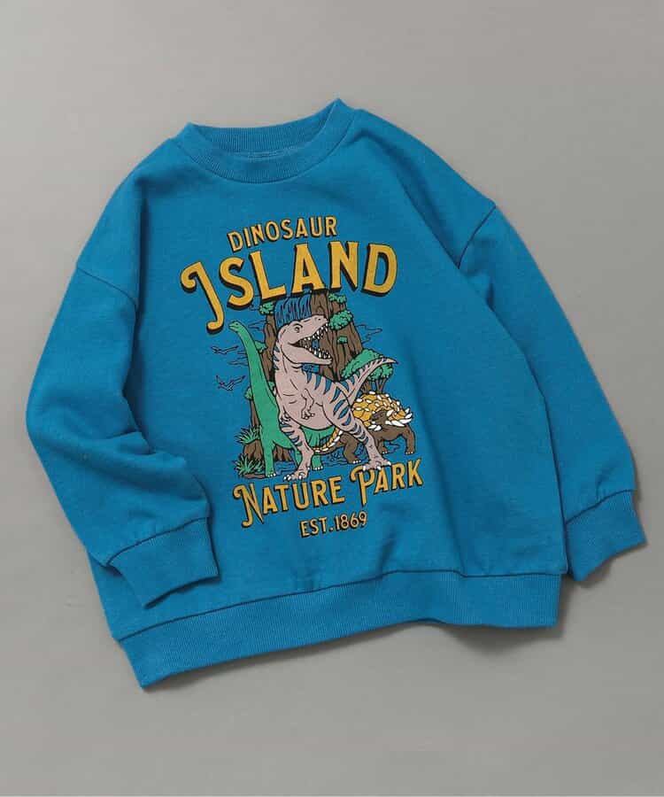 WEB限定 カラバリ グラフィックトレーナー