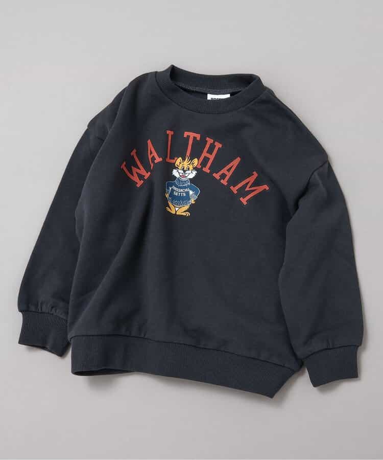 WEB限定 カレッジバリエーショントレーナー