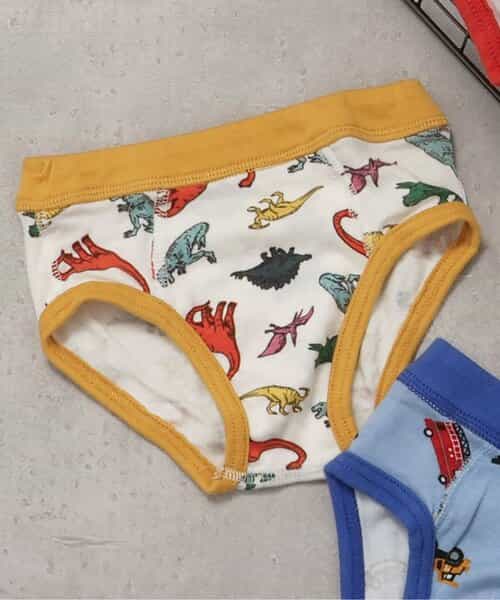 3P対象 BOYSバラエティブリーフパンツ