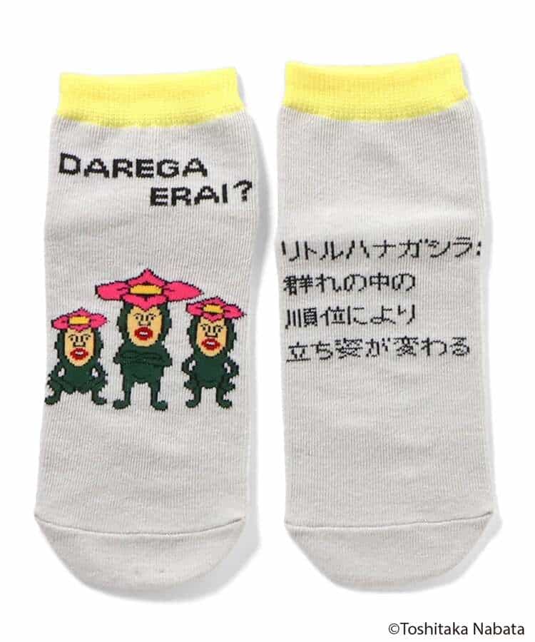 こびとづかん バラエティソックス_982075