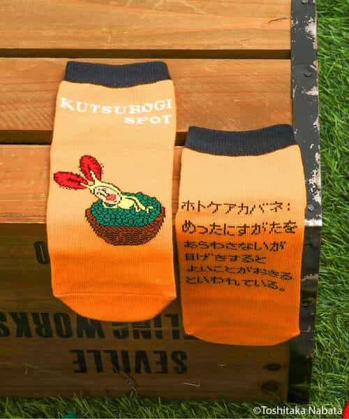 こびとづかん バラエティソックス