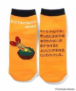 こびとづかん バラエティソックス_982077