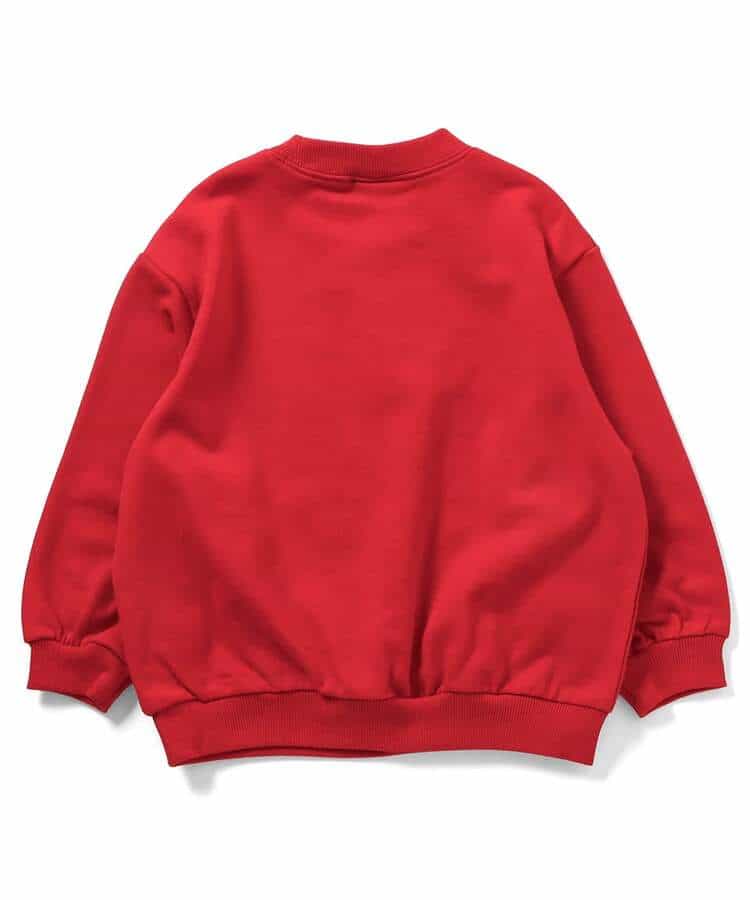 プリントウラケプルオーバー_AAAL PRODUCTS_1011013