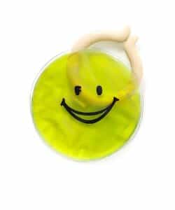 ★SALE★ICE RING（R） CASE