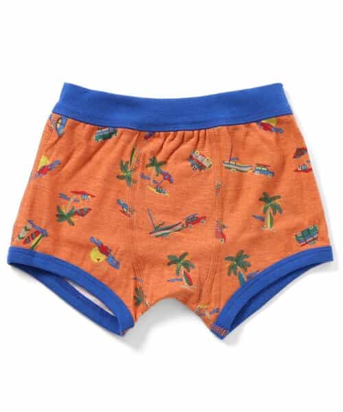 3P対象 バラエティボクサーパンツB