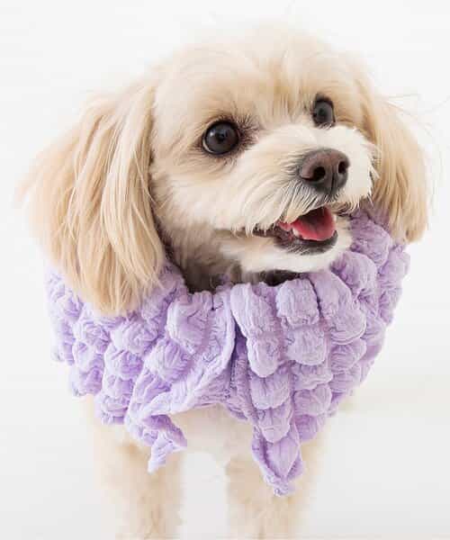 ★SALE★（NC)もこもこクールネックカラーカバー（ペット）