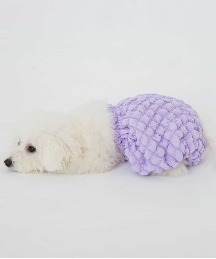 （NC)もこもこかぼちゃパンツ（ペット）