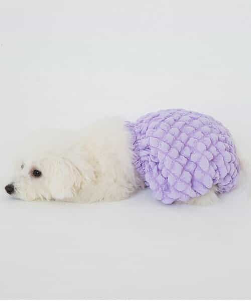 （NC)もこもこかぼちゃパンツ（ペット）