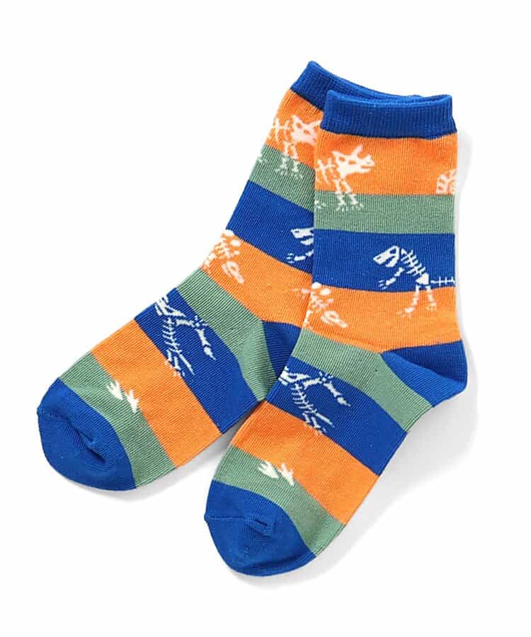 3P対象 恐竜地層柄ソックス