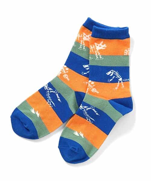 3P対象 恐竜地層柄ソックス