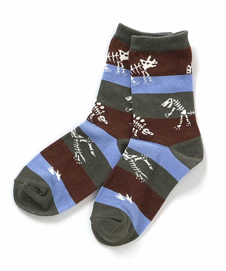 3P対象 恐竜地層柄ソックス