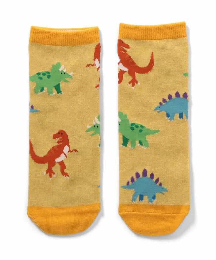 3P対象 どこでも正解ソックス