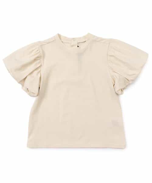 【ジュニア】リーズトップ