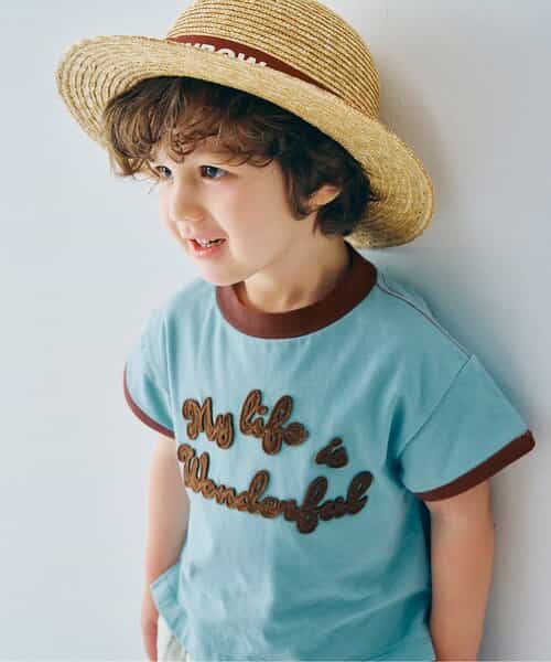 フェルトリンガーT リンク